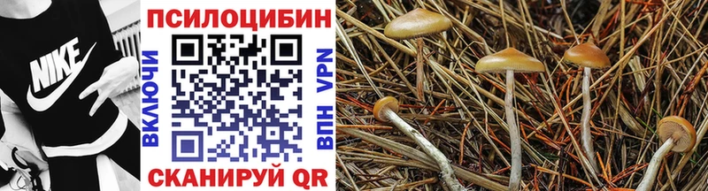 Галлюциногенные грибы Psilocybe mega рабочий сайт Александровское